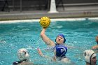 WWPolo vs CC  Wheaton College Women’s Water Polo compete in their sports inaugural match vs Connecticut College. - Photo By: KEITH NORDSTROM : Wheaton, water polo, inaugural